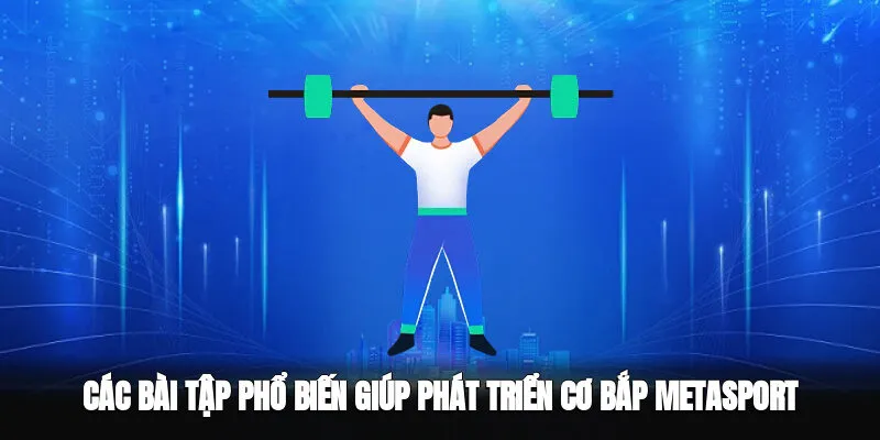 Các Bài Tập Phổ Biến Giúp Phát Triển Cơ Bắp