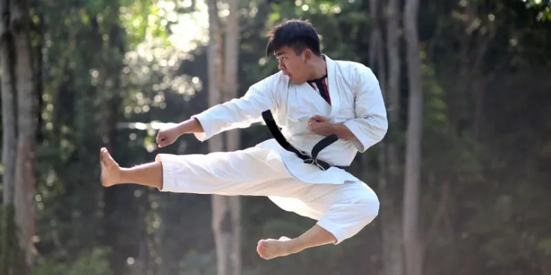 Biểu đồ các môn võ thuật phổ biến chính