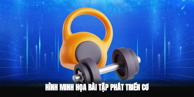 Minh họa Các bài tập phổ biến giúp phát triển cơ bắp