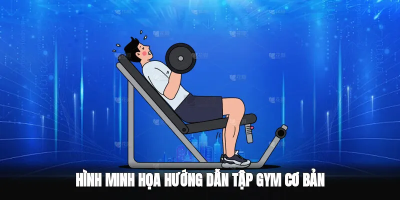 Hình minh họa hướng dẫn tập gym cơ bản