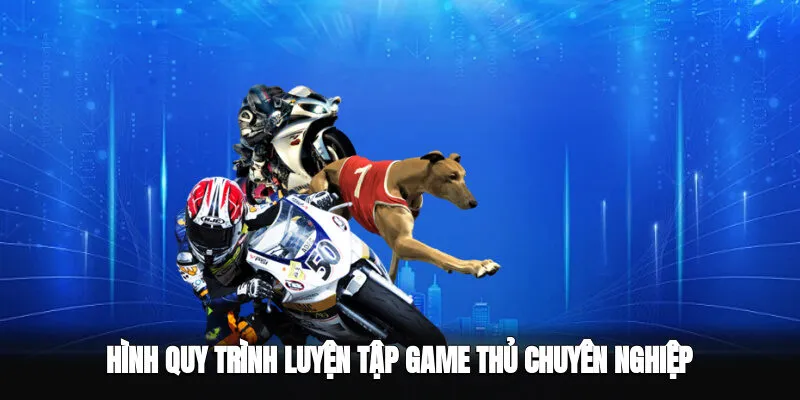 Hình quy trình cách các game thủ chuyên nghiệp luyện tập