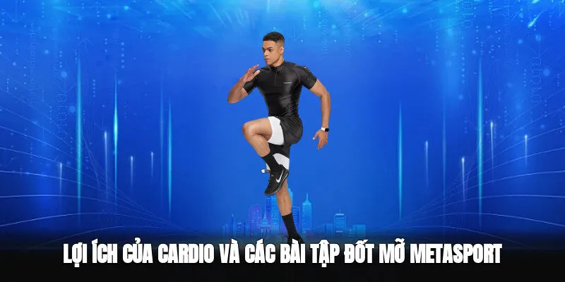 Lợi Ích Của Cardio Và Các Bài Tập Đốt Mỡ